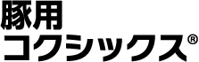 ؗpRNVbNX